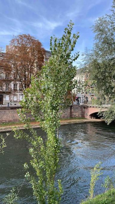 Appartement 2 Chambres Au Coeur De Strasburg Zewnętrze zdjęcie