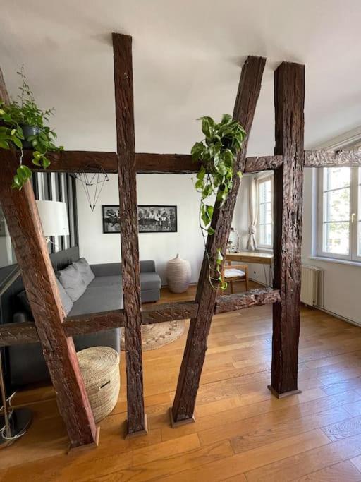 Appartement 2 Chambres Au Coeur De Strasburg Zewnętrze zdjęcie